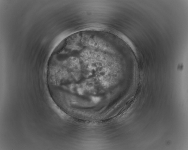 X0000092001099200709271503