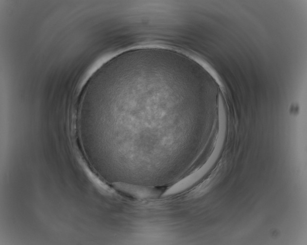 X0000092001101200709271503