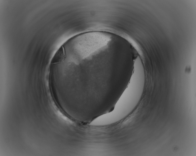 X0000092001102200709271503