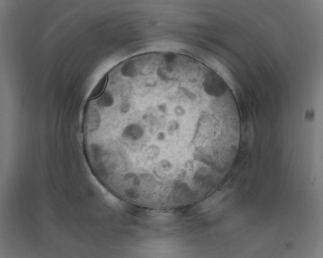 X0000092001103200709271503