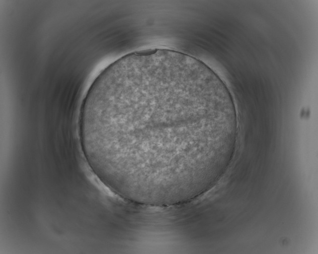 X0000092001104200709271503