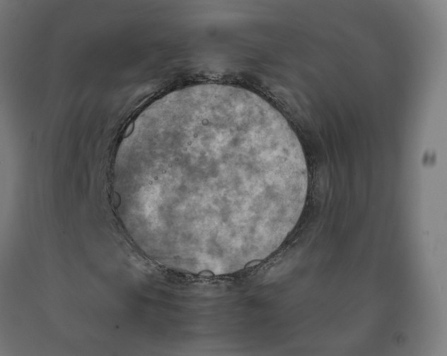 X0000092001105200709271502