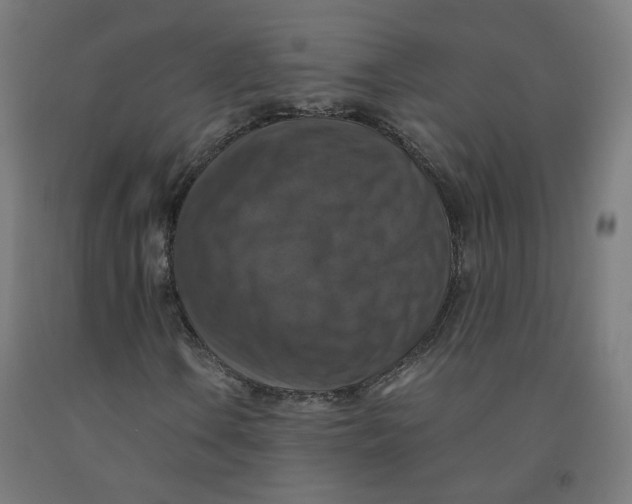 X0000092001106200709271502