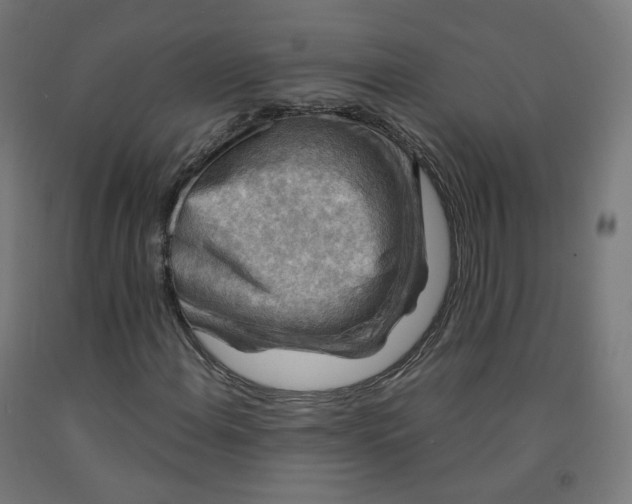 X0000092001108200709271502