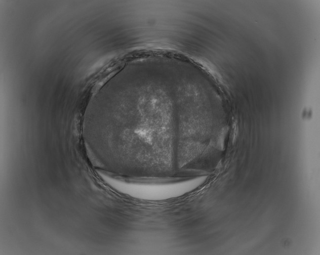 X0000092001110200709271502