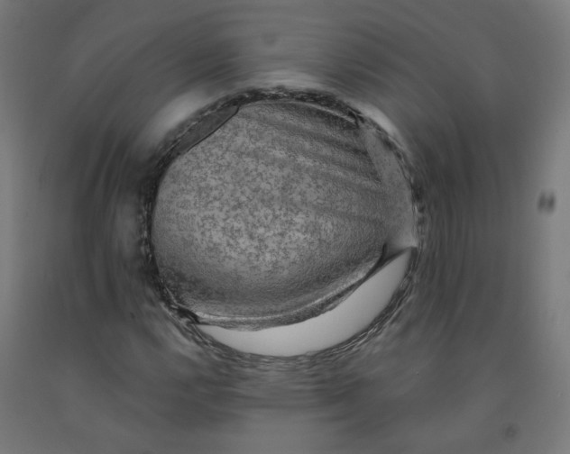 X0000092001112200709271502