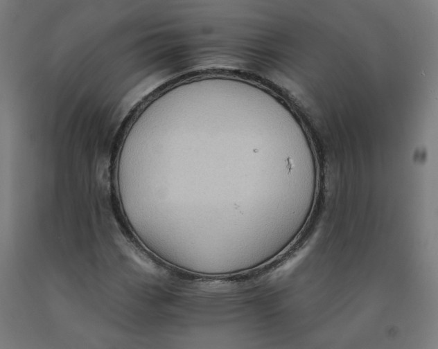 X0000092001113200709271502