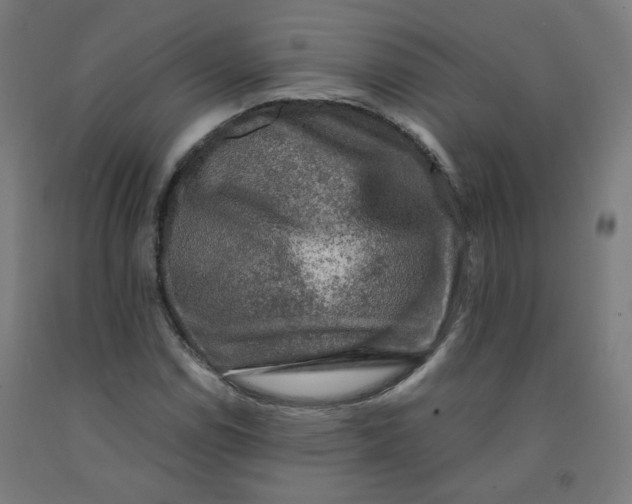 X0000092001114200709271502