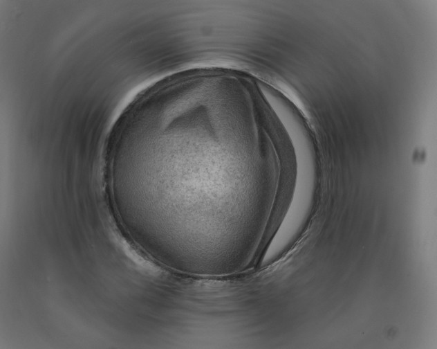 X0000092001116200709271502