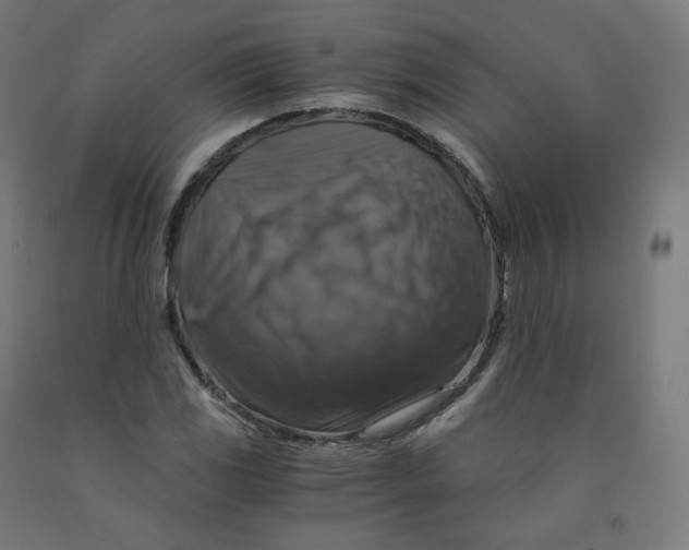 X0000092001117200709271502