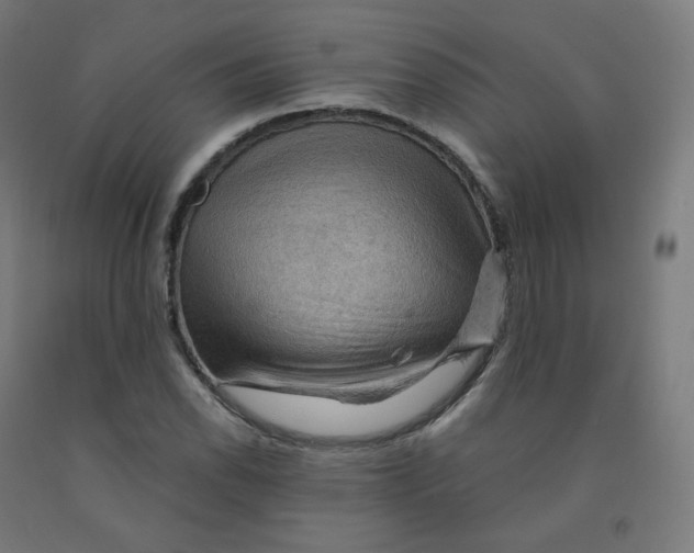 X0000092001118200709271502