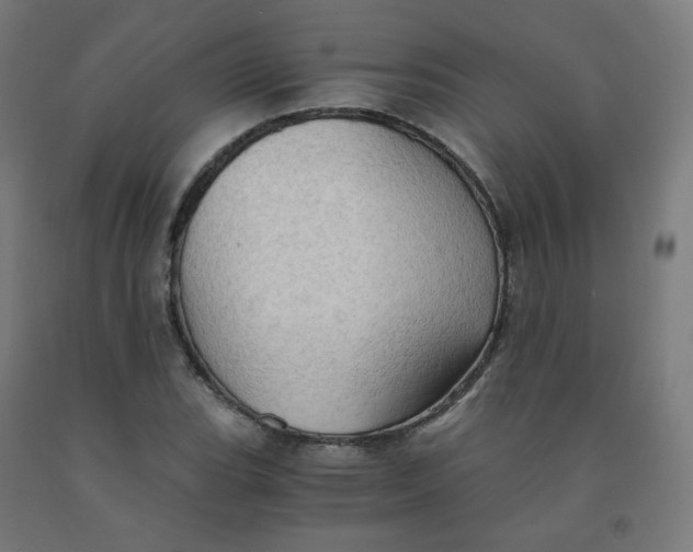 X0000092001119200709271502