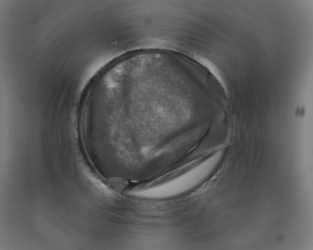 X0000092001120200709271502