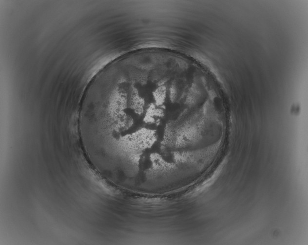 X0000092001121200709271502