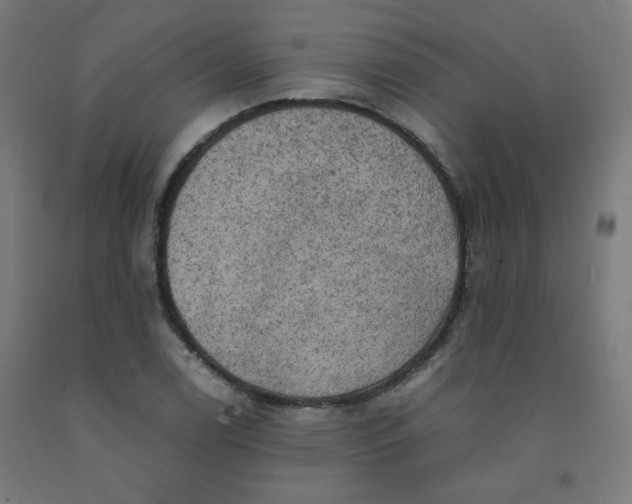 X0000092001122200709271502