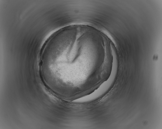 X0000092001124200709271502