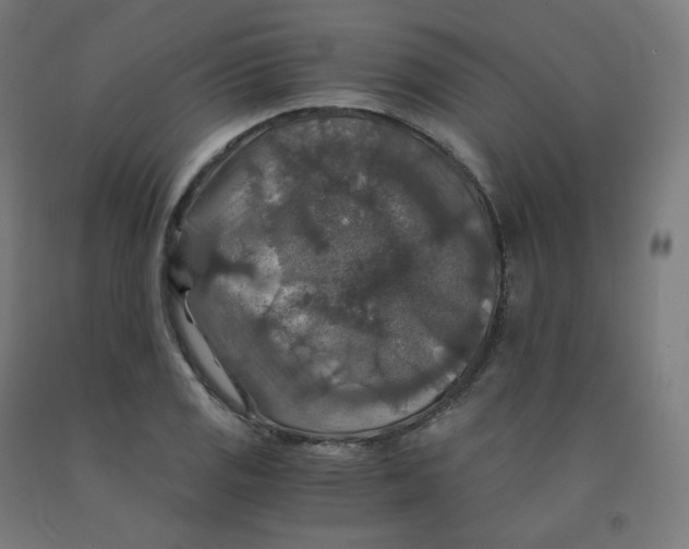 X0000092001125200709271502