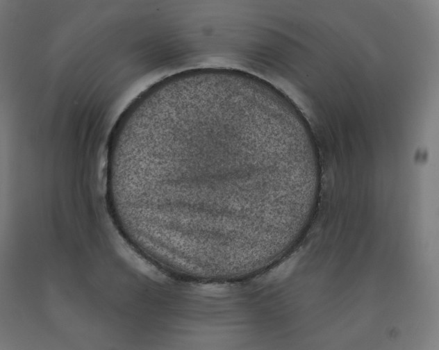 X0000092001126200709271502