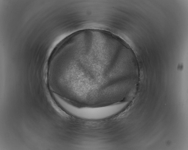 X0000092001128200709271502