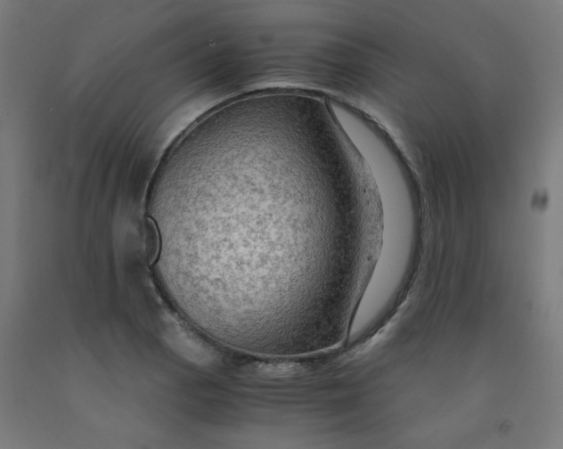 X0000092001129200709271502