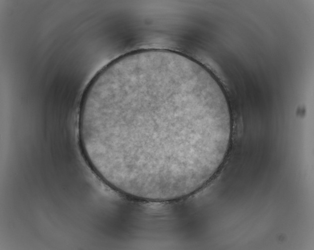 X0000092001130200709271502