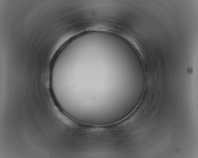 X0000092001131200709271502