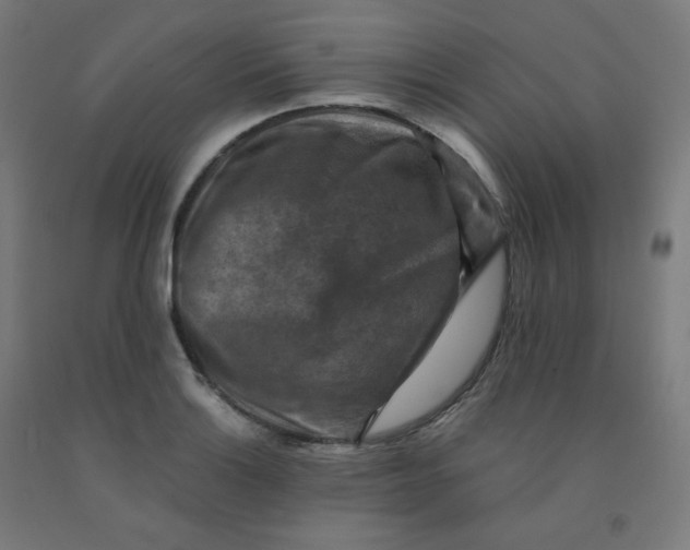 X0000092001132200709271502