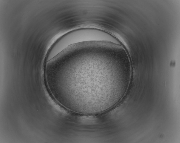 X0000092001133200709271502