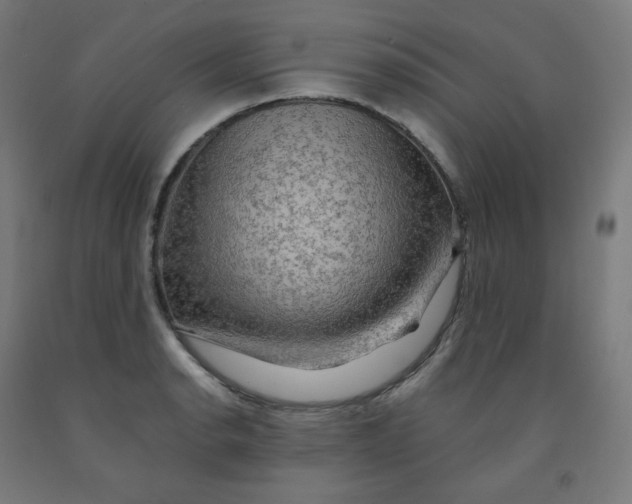 X0000092001134200709271502