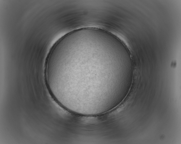 X0000092001135200709271502