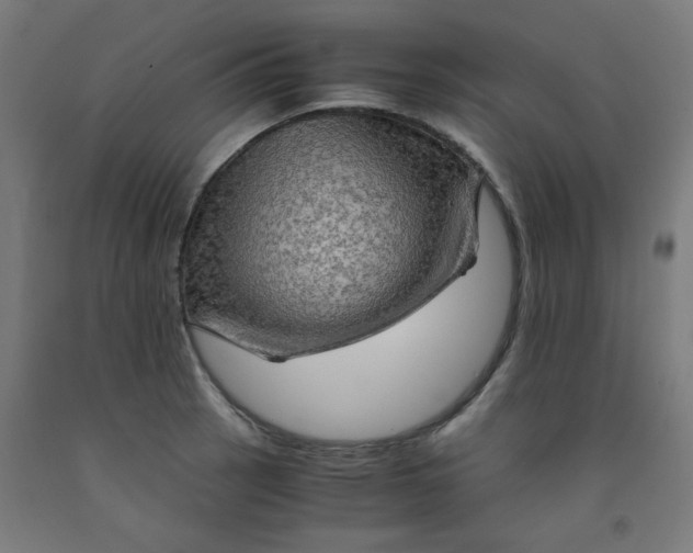 X0000092001137200709271502