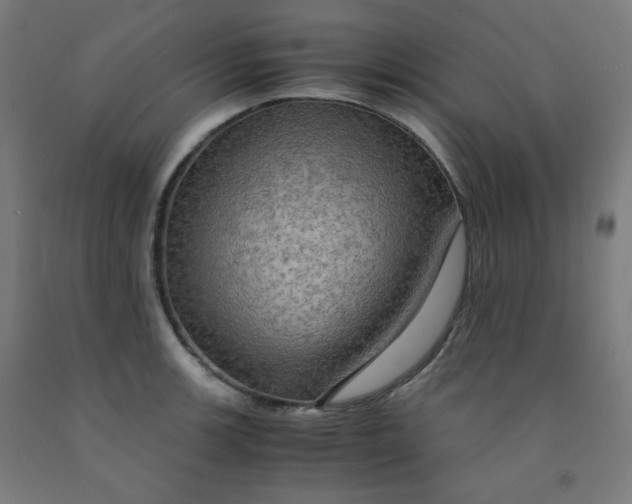 X0000092001139200709271503