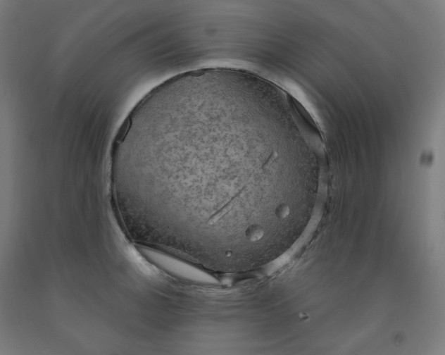 X0000092001140200709271503