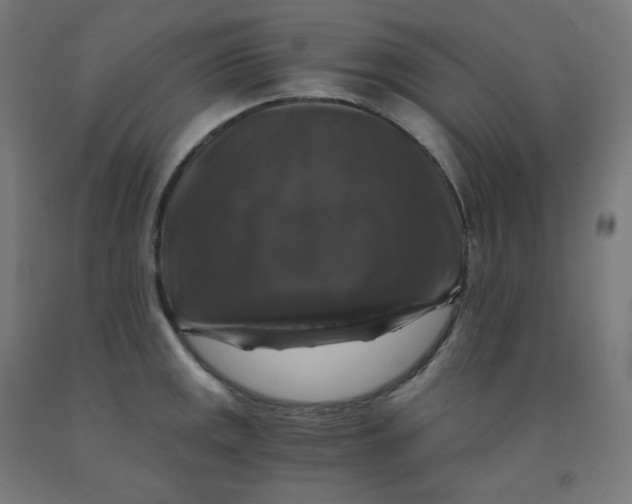 X0000092001141200709271503