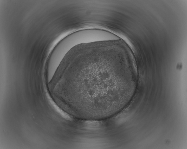 X0000092001142200709271503