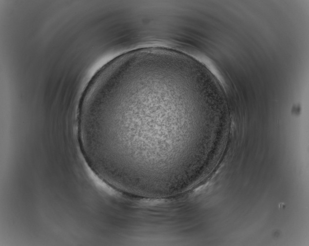 X0000092001143200709271503