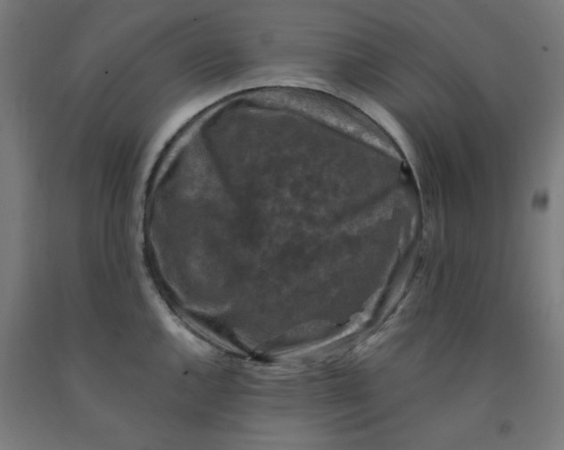 X0000092001144200709271503