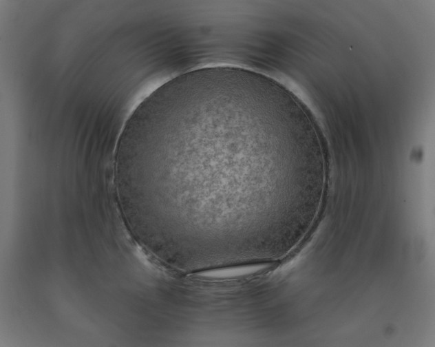 X0000092001145200709271503