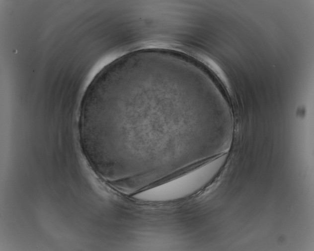 X0000092001146200709271503