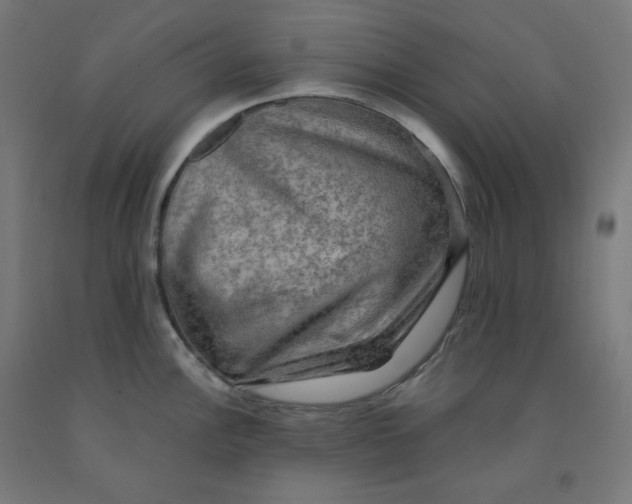 X0000092001148200709271503