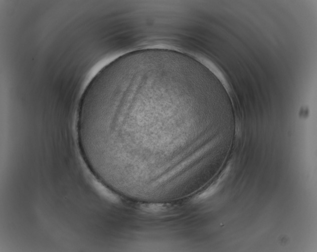 X0000092001149200709271503