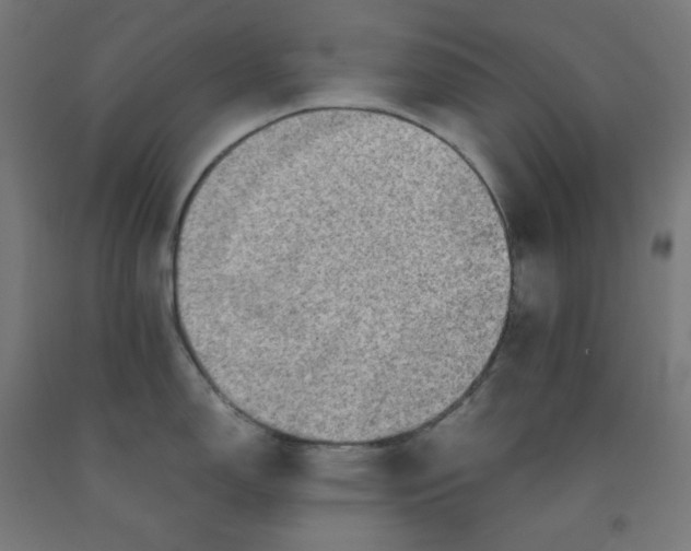 X0000092001150200709271503