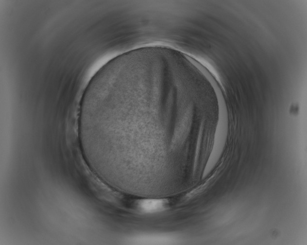 X0000092001151200709271503