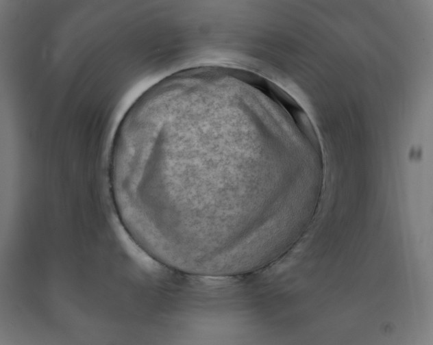 X0000092001152200709271503