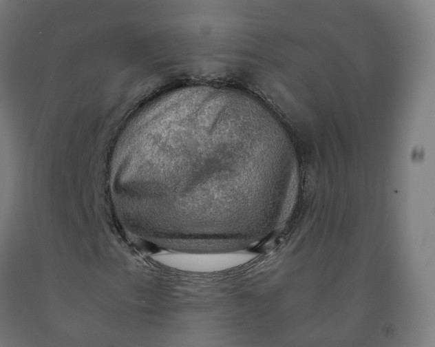 X0000092001153200709271502