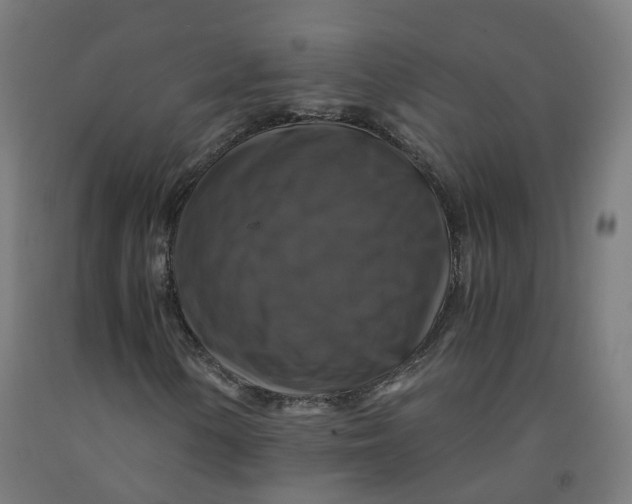 X0000092001154200709271502