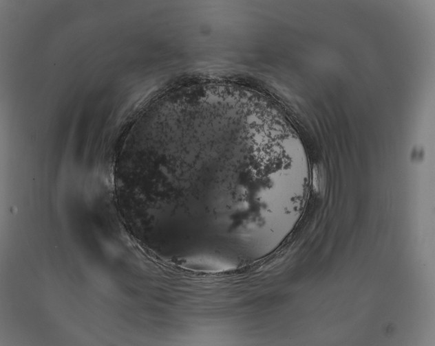 X0000092001155200709271502