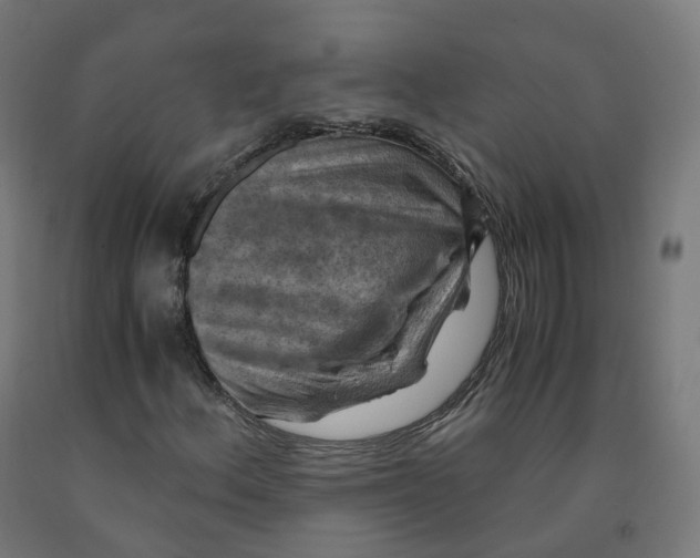 X0000092001156200709271502