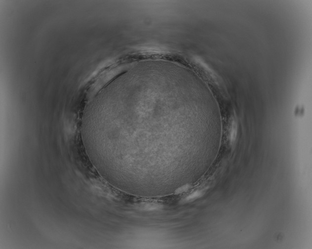 X0000092001157200709271502