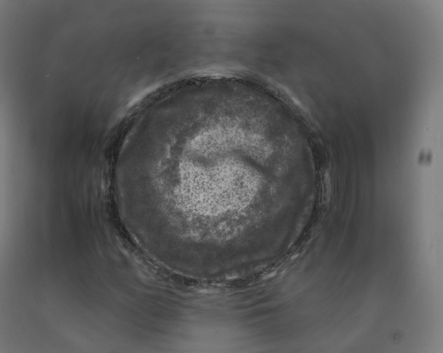 X0000092001158200709271502